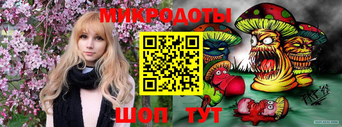 Галлюциногенные грибы прущие грибы Кашира